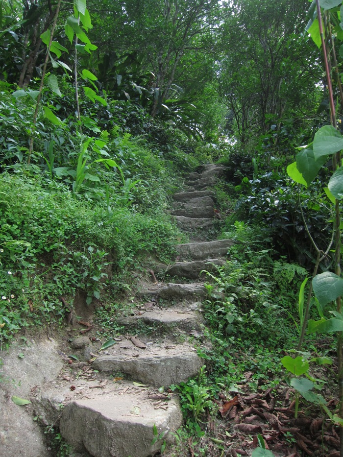Steep steps leading up to Passang's home